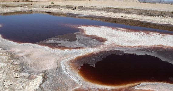 Salton Sea