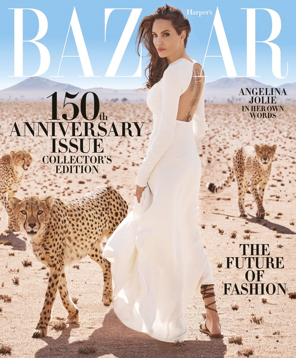 Angelina Jolie in Harper's Bazaar Nov Issue