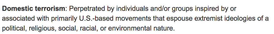 domestic terrorism definition