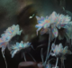fleurever jazz cartier feature