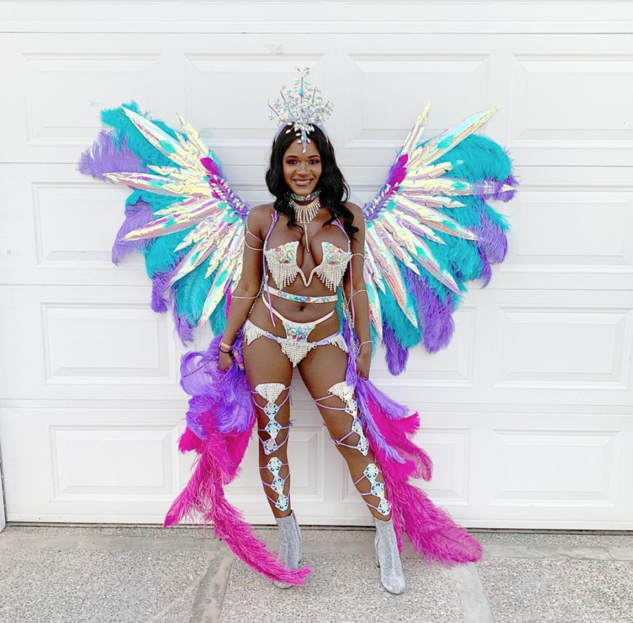 2019carnival.globalcarnivalist
