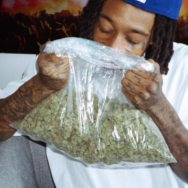 cannabis.420.bizwiz