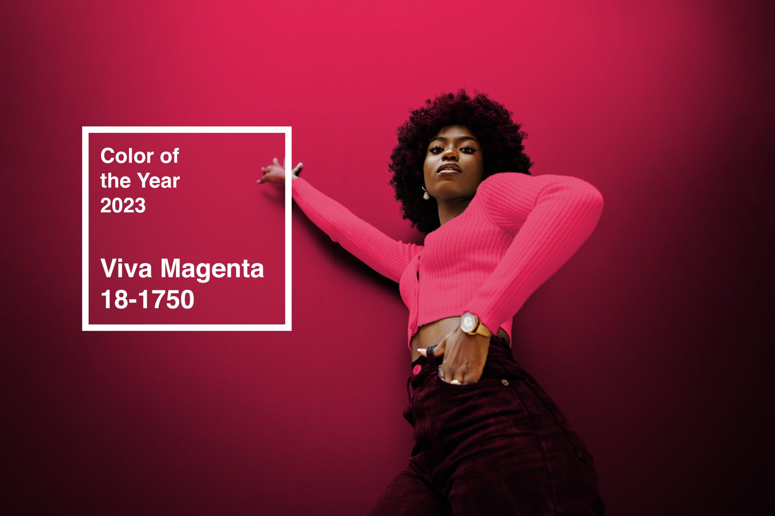 #FF: Pantone 18-1750 Viva Magenta Is the 2023 Color of the Year